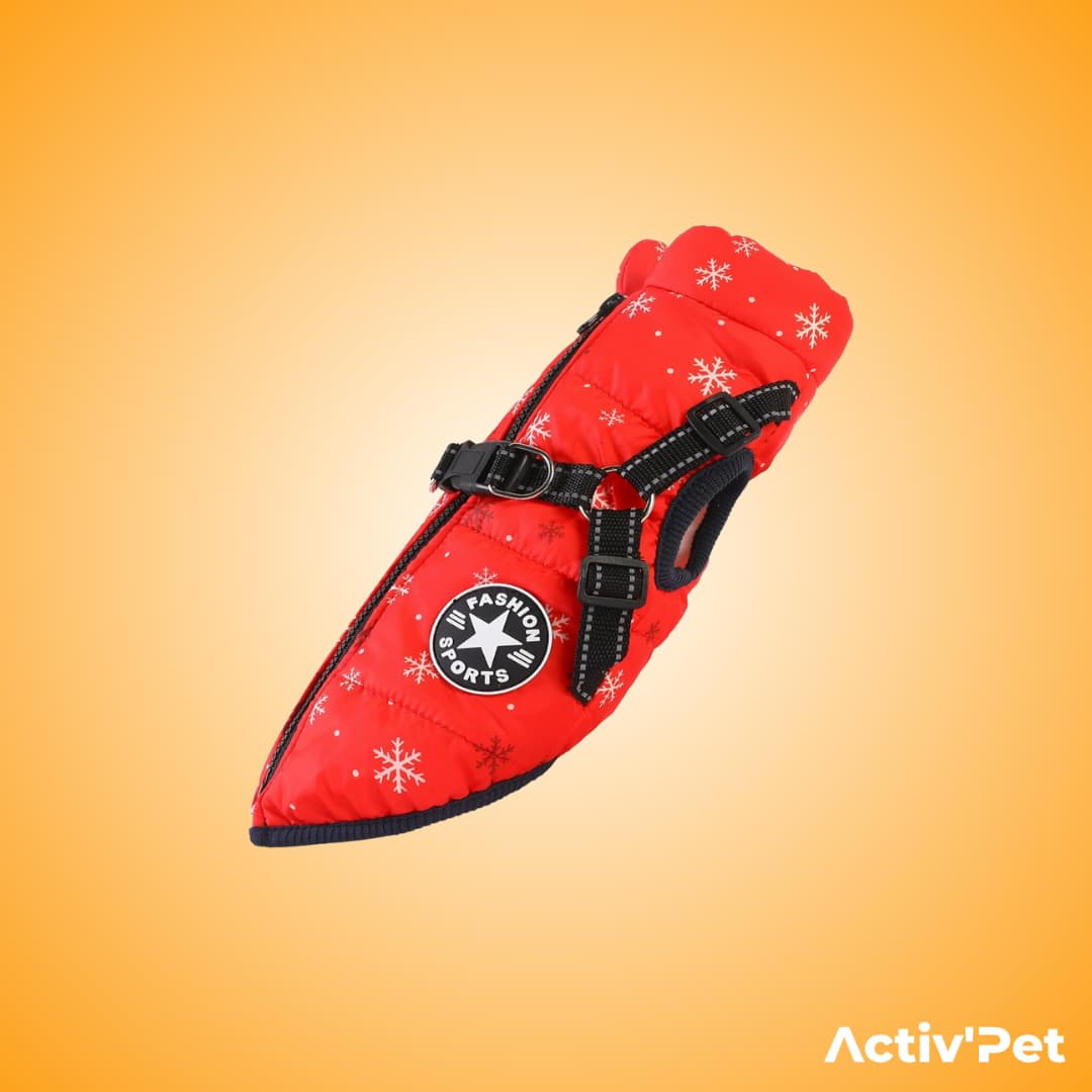 Manteau d’hiver 3 en 1