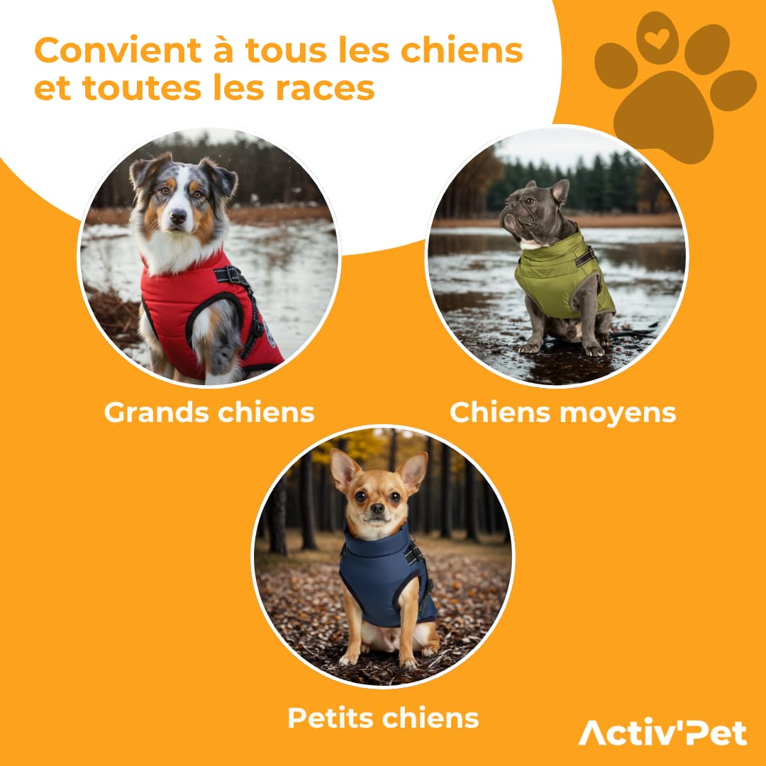 Manteau d’hiver 3 en 1