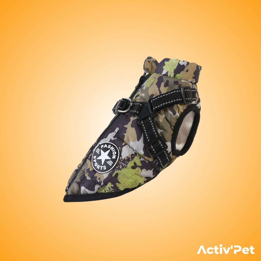 Manteau d’hiver 3 en 1