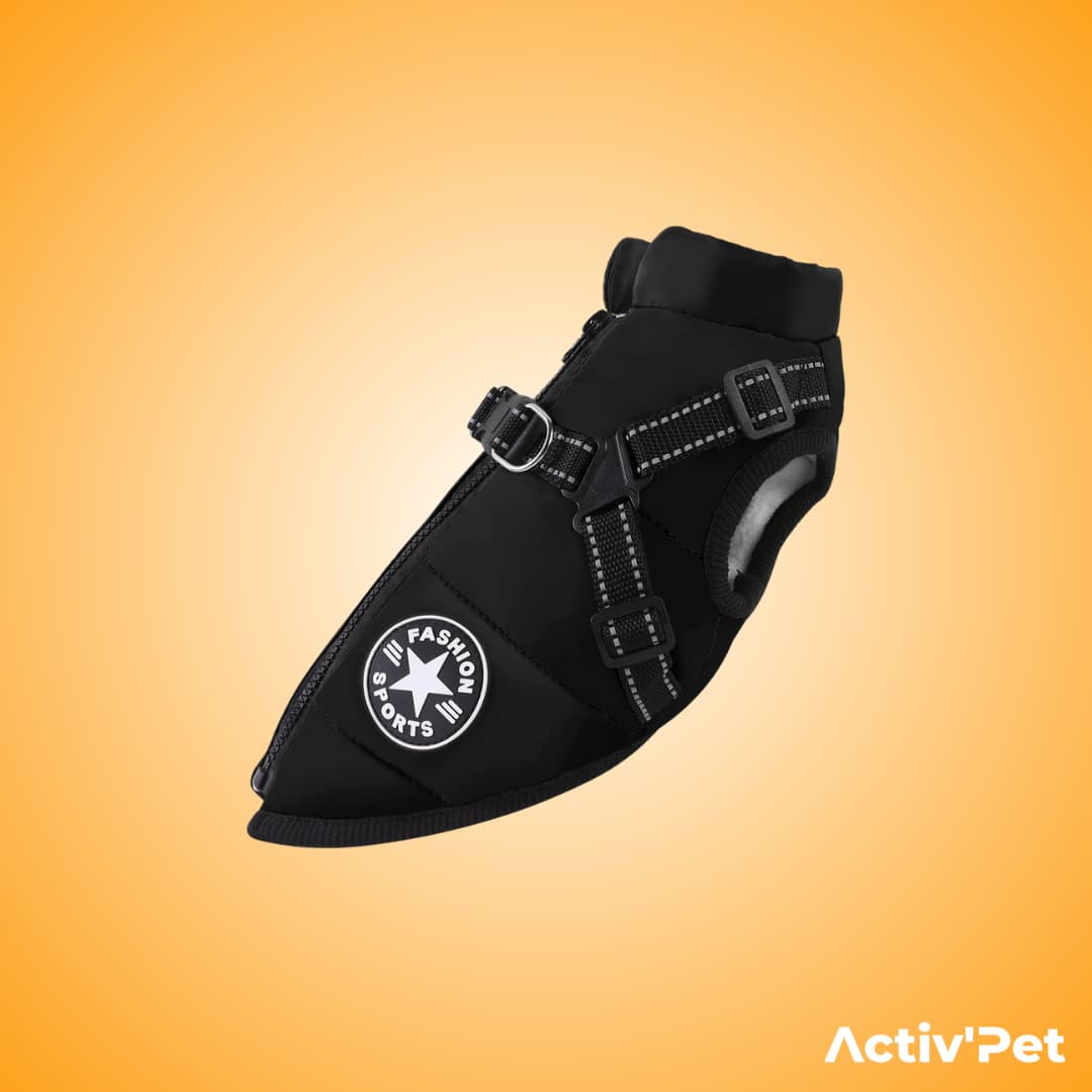 Manteau d’hiver 3 en 1