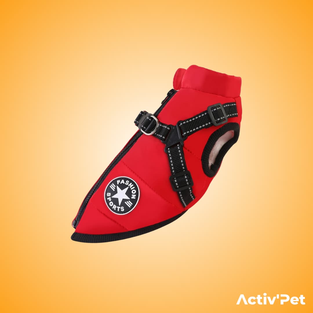 Manteau d’hiver 3 en 1