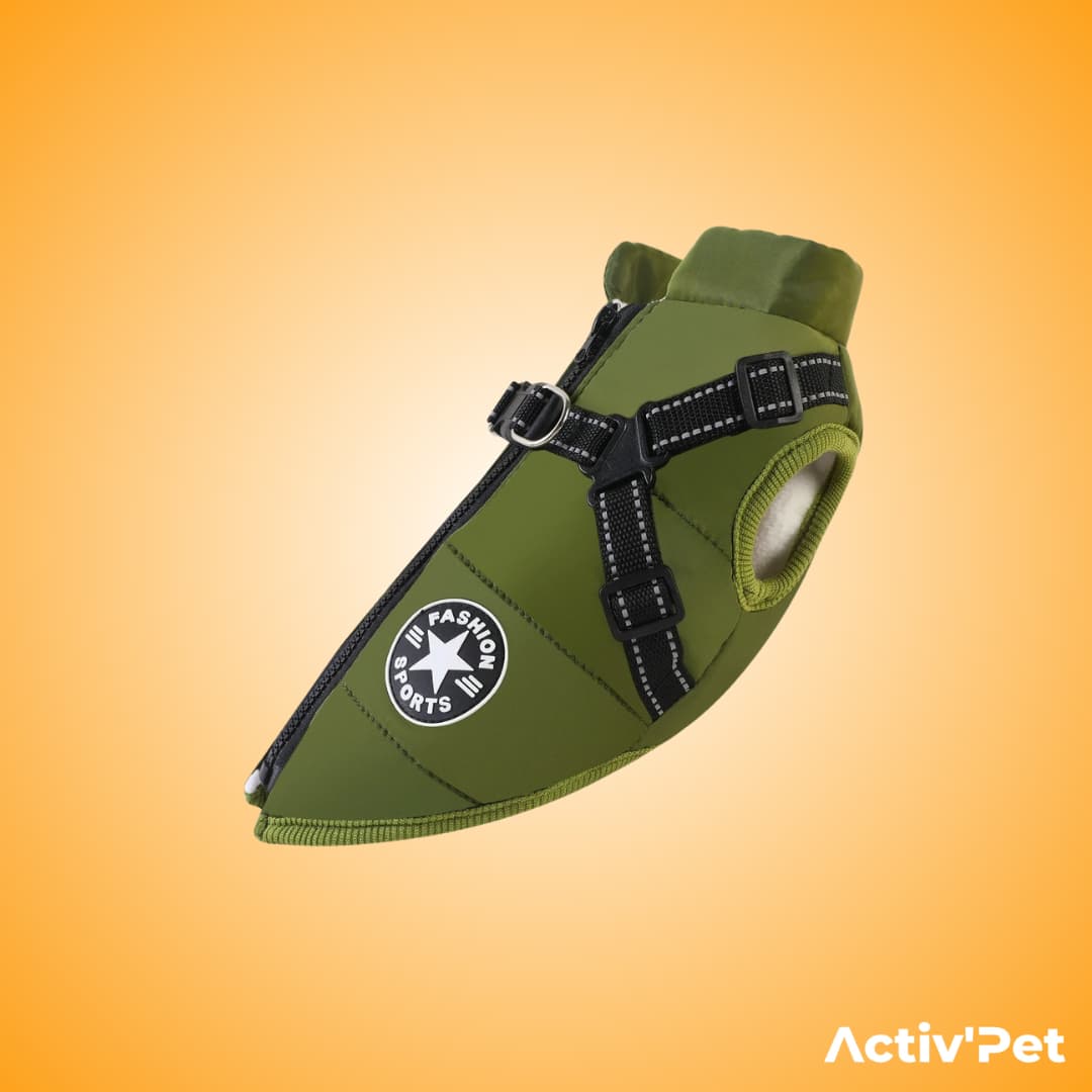 Manteau d’hiver 3 en 1