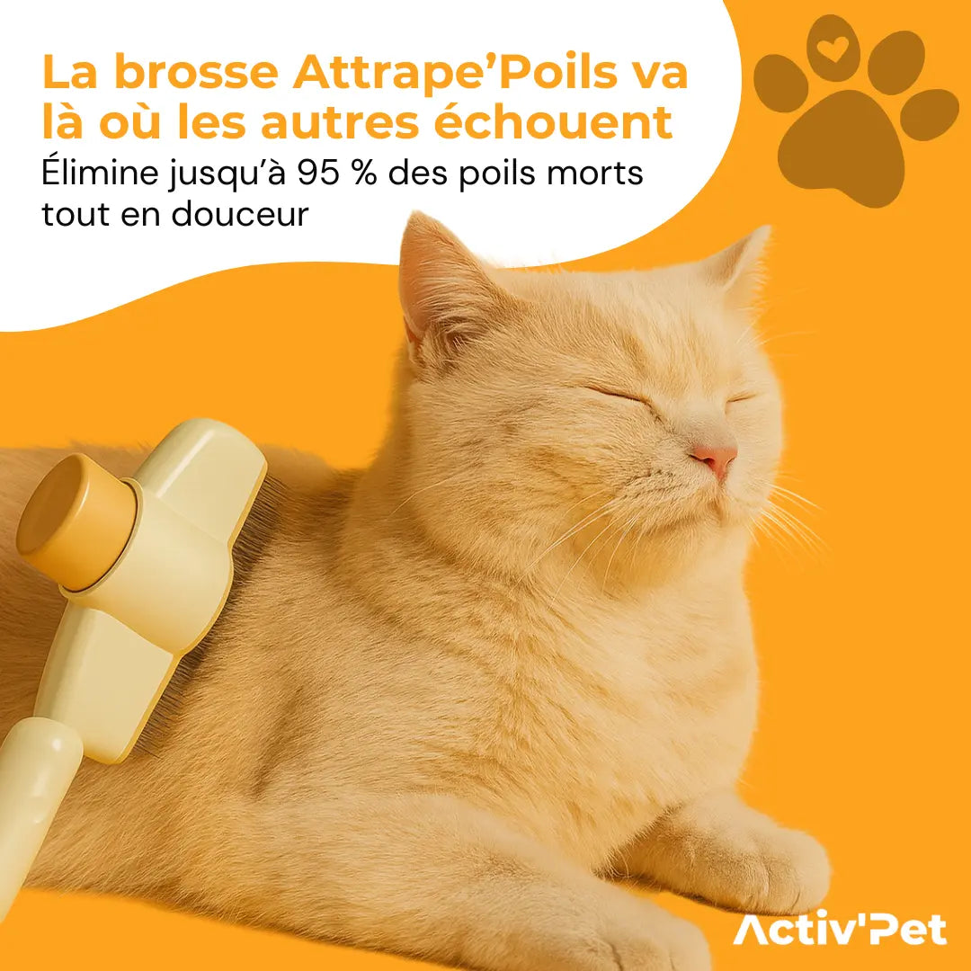 Brosse Attrape’Poils – Notre Bestseller
