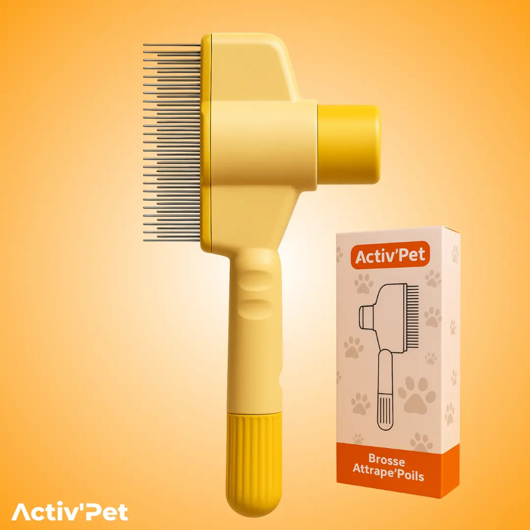 Brosse Attrape’Poils – Notre Bestseller