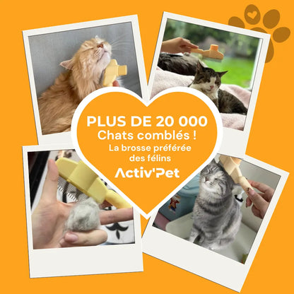 Brosse Attrape’Poils – Notre Bestseller