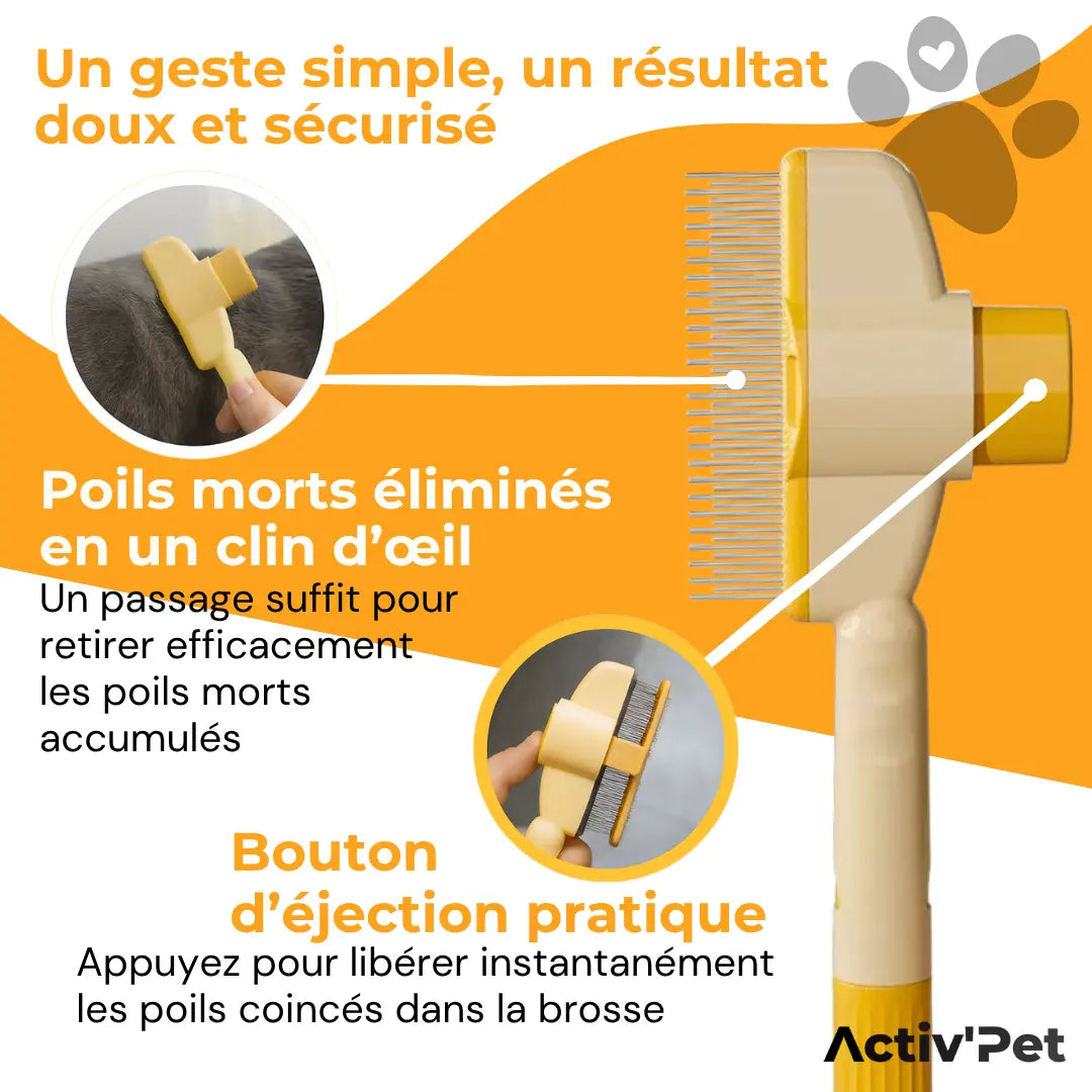 Brosse Attrape’Poils – Notre Bestseller