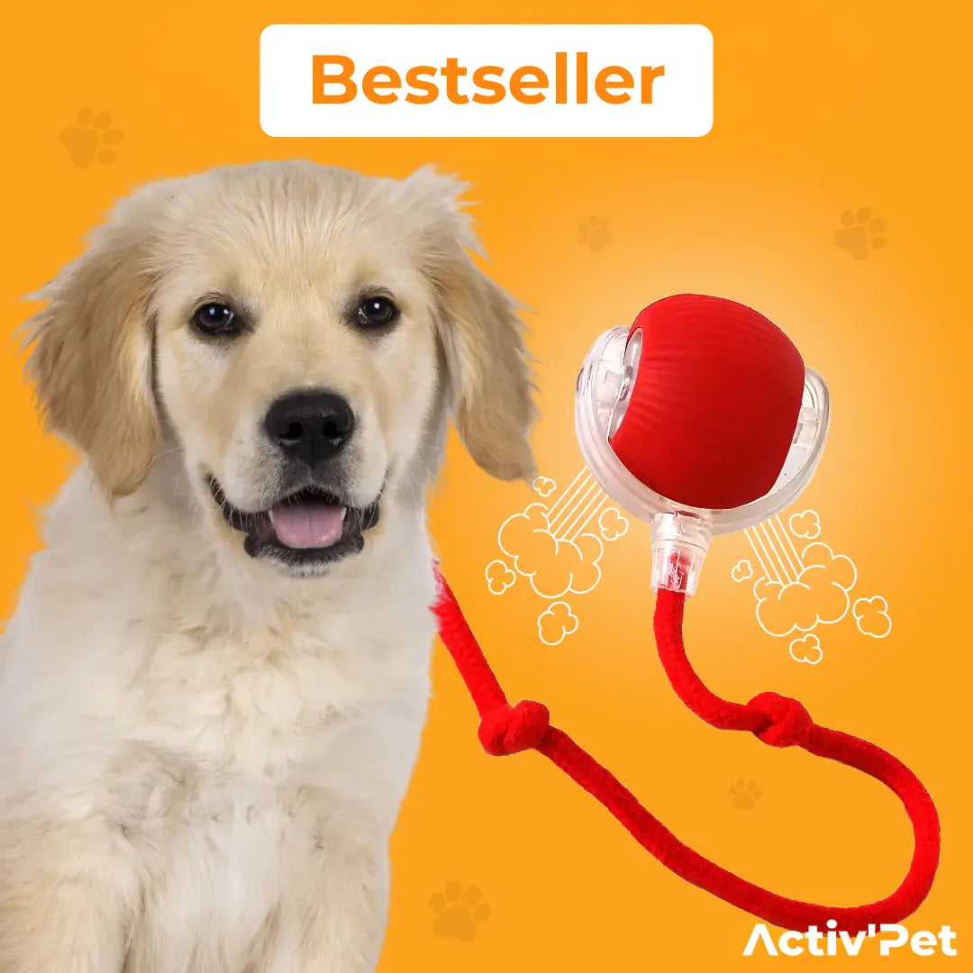 MagicBall - Notre Bestseller