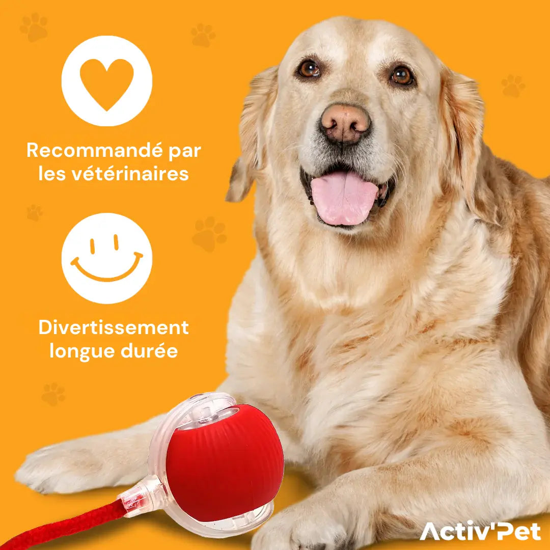 MagicBall - Notre Bestseller