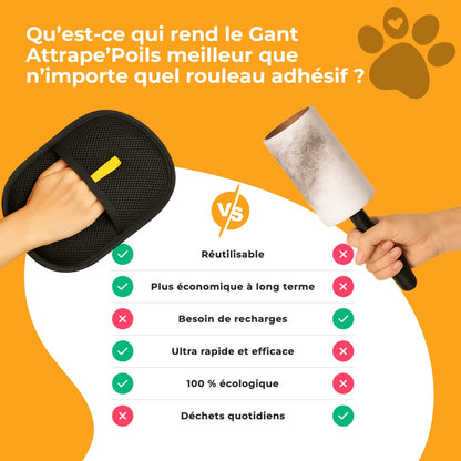 Gant Attrape'Poils