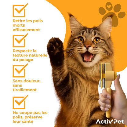 Brosse Attrape’Poils – Notre Bestseller