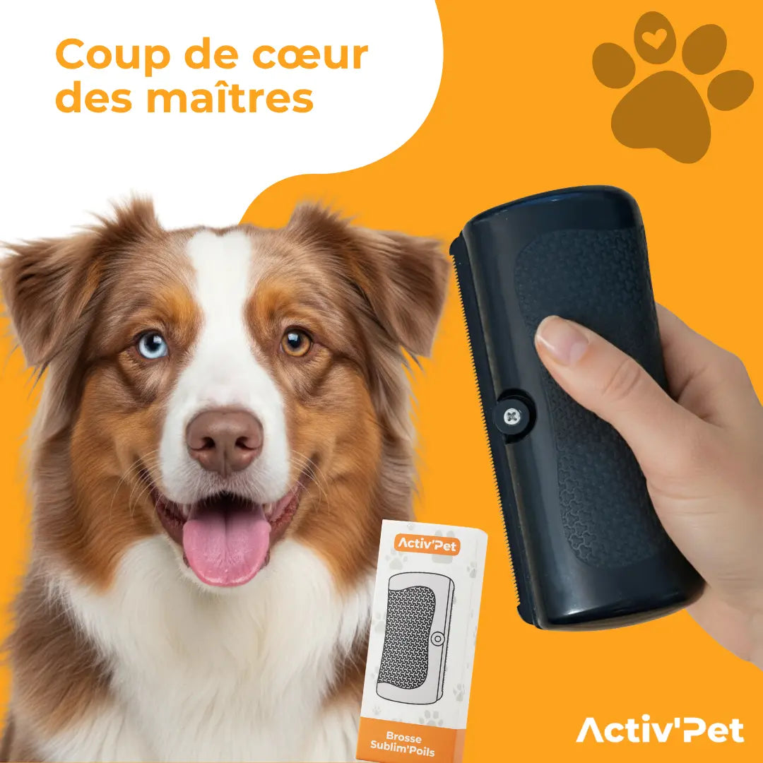 Brosse Sublim’Poils