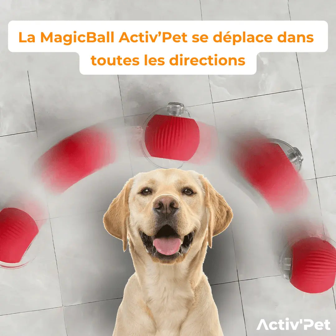 MagicBall - Notre Bestseller