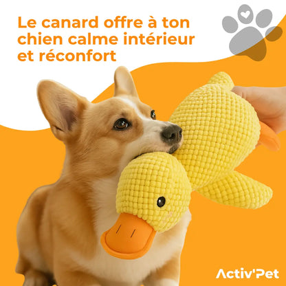 Canard anti-stress