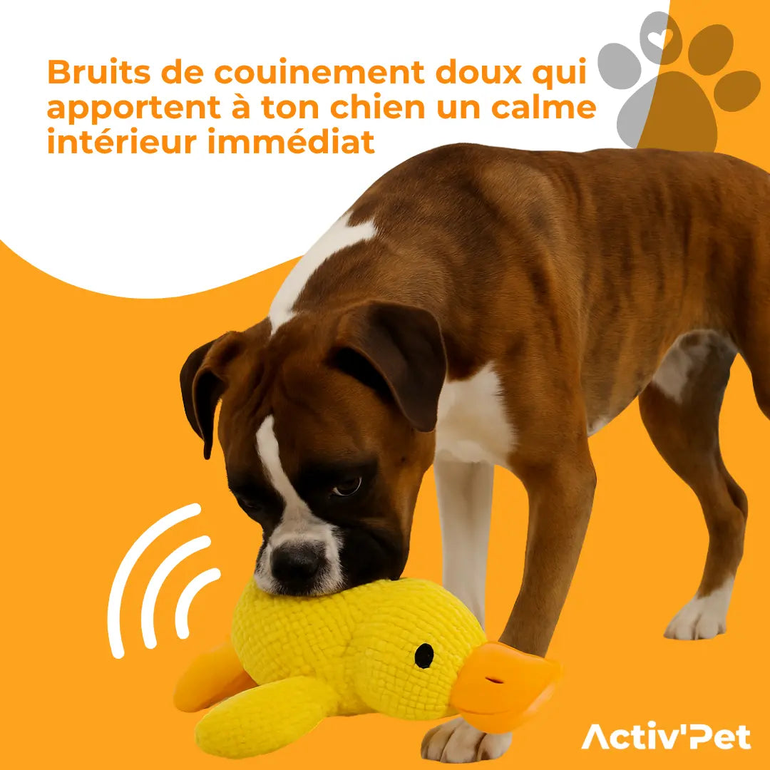 Canard anti-stress
