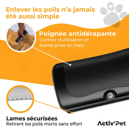 Brosse Sublim’Poils