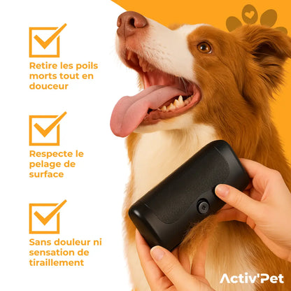 Brosse Sublim’Poils