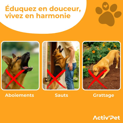 Dispositif Ultrasons Chien Serein