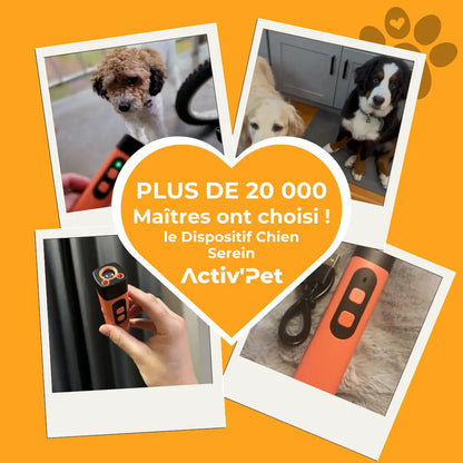 Dispositif Ultrasons Chien Serein