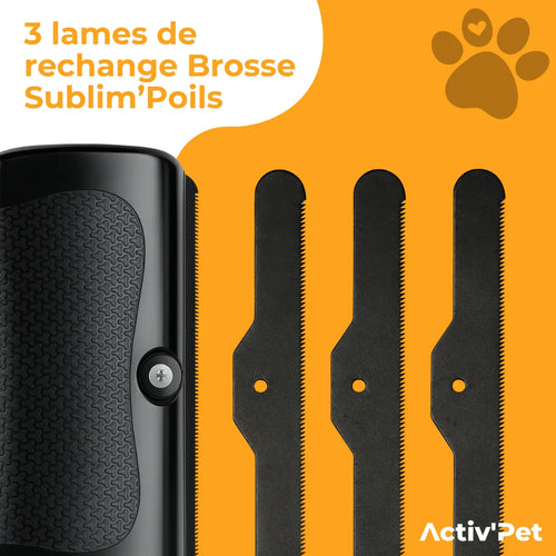 3 lames de remplacement pour brosse Sublim'Poils
