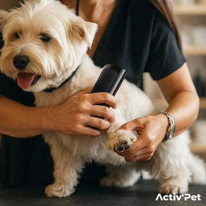 Brosse Sublim’Poils