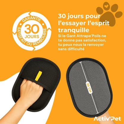 Gant Attrape'Poils